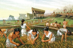 The Importance of Cereals in Trypillia Culture photo